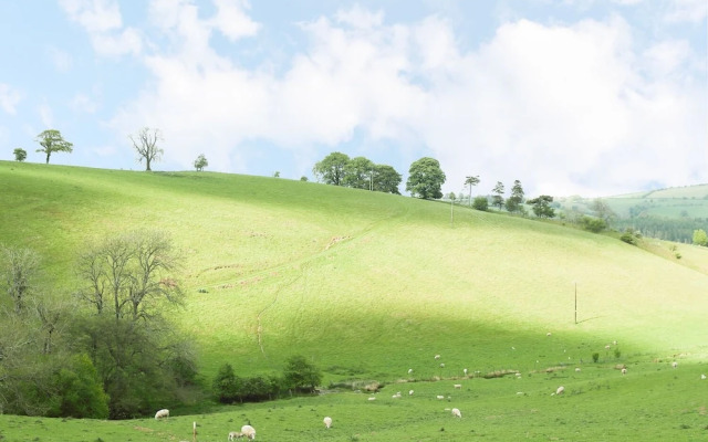 Rolling Hills