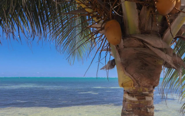 Kokomo Beach Suites