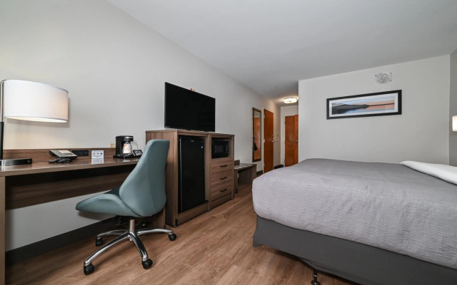 Holiday Inn Express & Suites Taylor by IHG