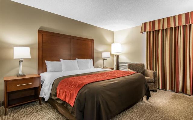 Comfort Inn & Suites Denver