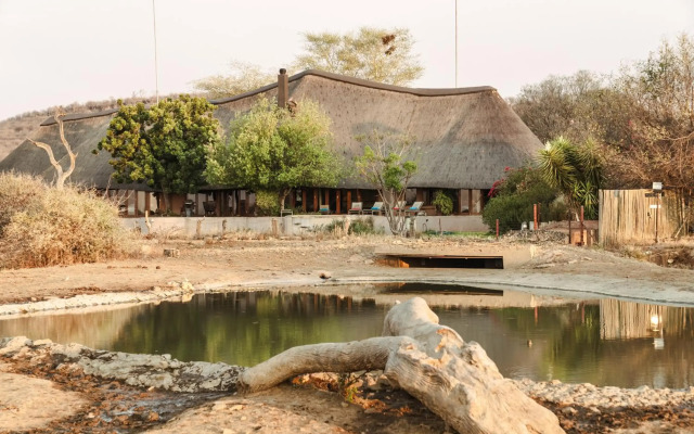 Last Word Madikwe
