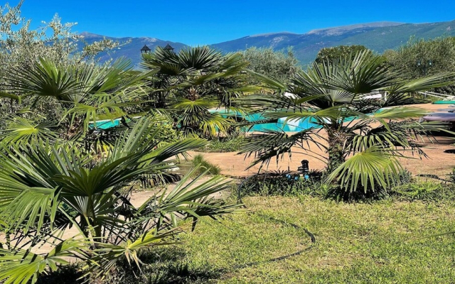 Very Pretty Spoleto-poolside-sleeps-20pool, Jacuzzi, Gardens - Views