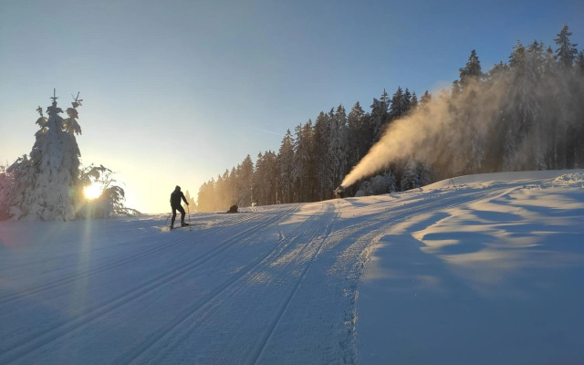 Lipno Riviéra - Myši v botě