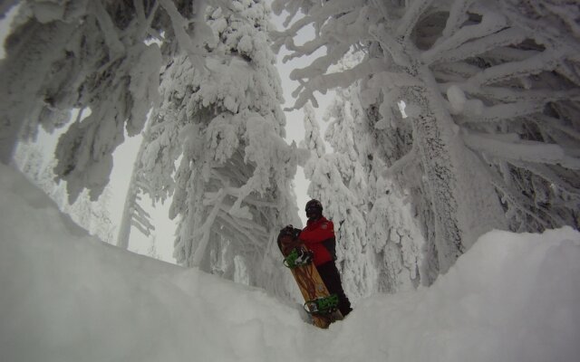 Traveland Poiana Brasov