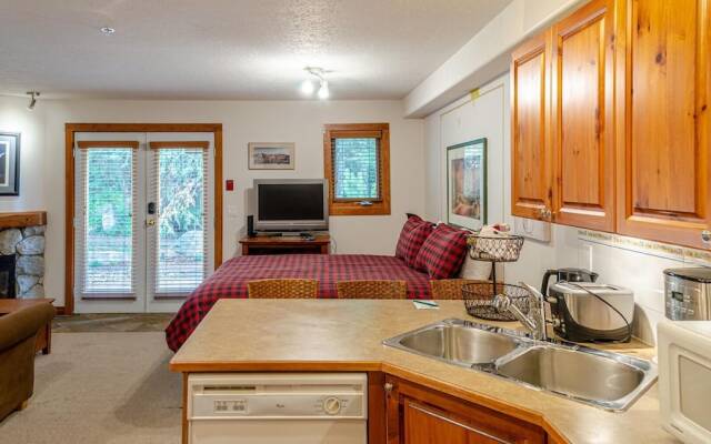 Timberline Village #45 By Bear Country