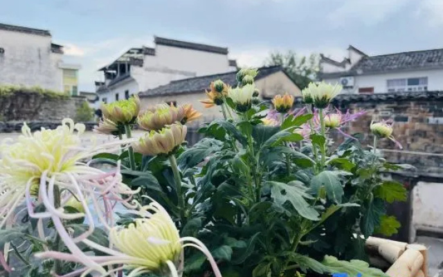 Lanwu X-Space Guesthouse (Huangshan Xixinan Ancient Village Branch) – Outside – Huangshan