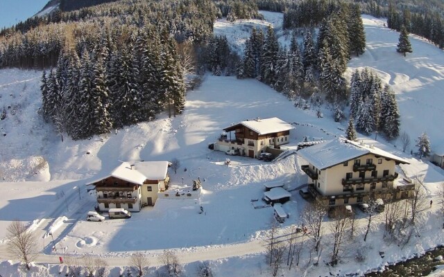 Pretty Apartment in Saalbach-Hinterglemm near Ski Area