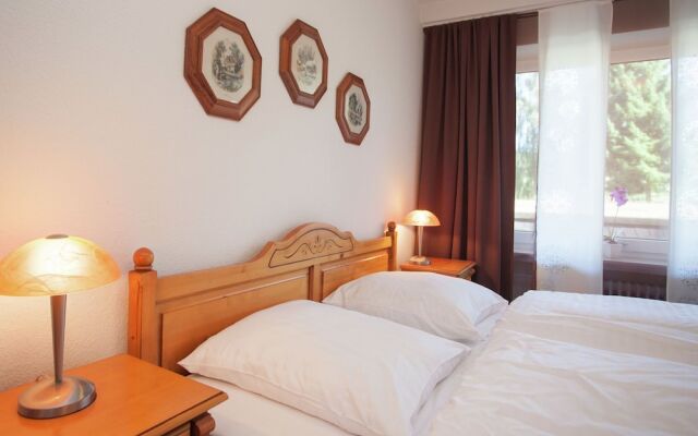 Charming Apartment in Silbach with Terrace