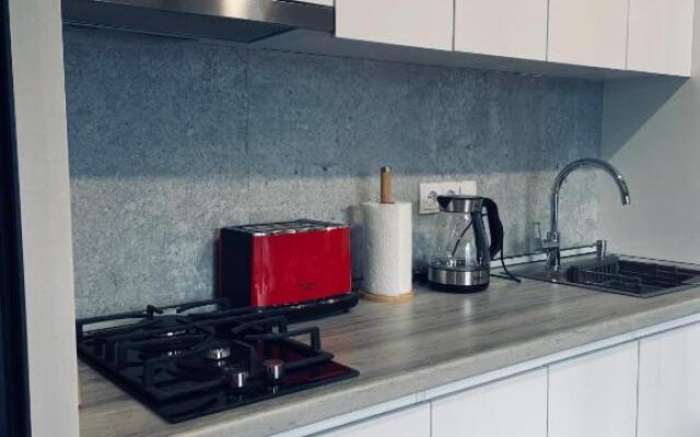 Kazbegi Stylish Apartment