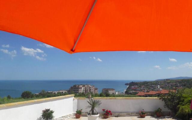 Villa Byala Grape House