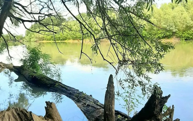 Творческий глэмпинг Скворечник