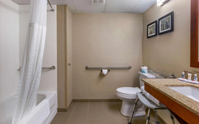 Comfort Inn & Suites near Danville Mall