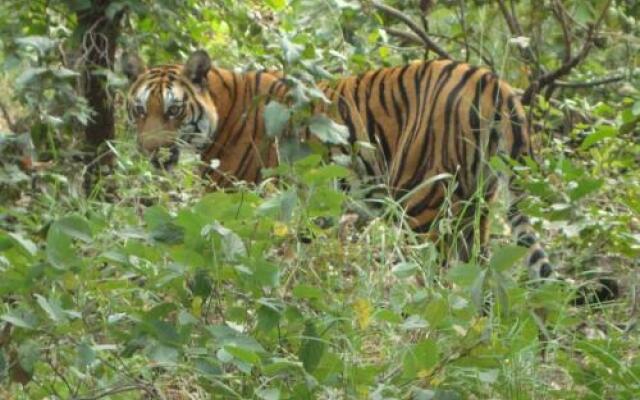 Ratapani Range Retreat