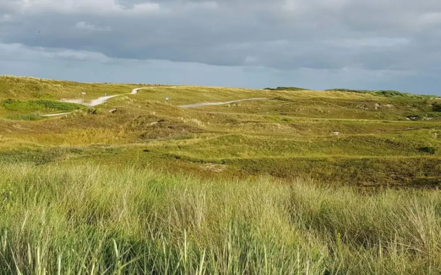"de Zeehond" Strandslag