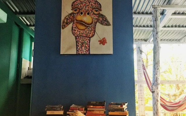 Twin Fin Hostels