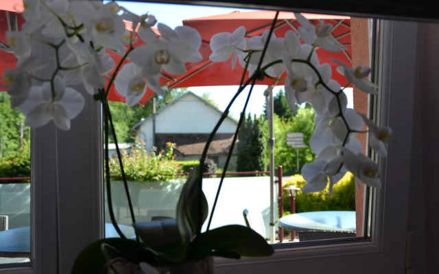 Hôtel CARRER Le Rhien