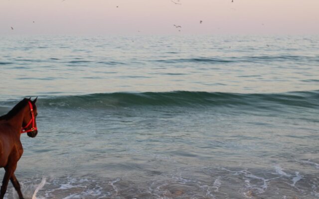 Beach Resort - Salalah