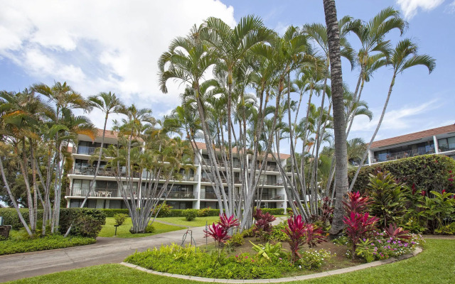 Maui Parkshore #212