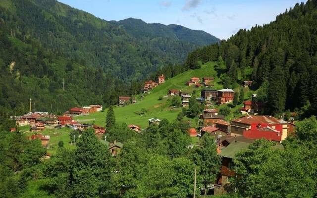 Zafran Otel