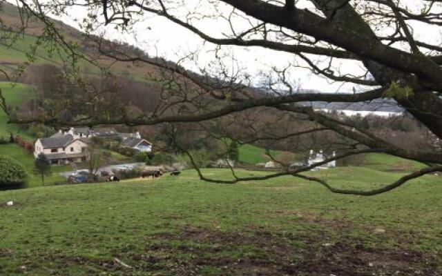 Willowbank