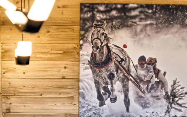 VisitZakopane - Tatra Ski Apartment