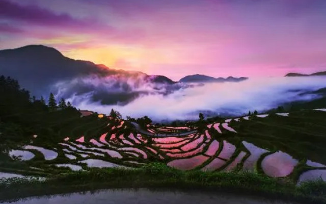 Jiangling Scenery Inn