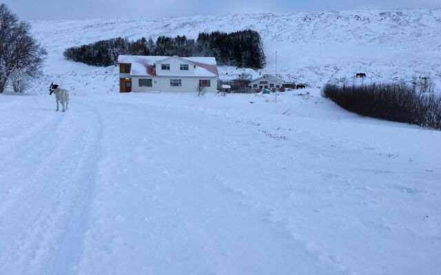 Öndólfsstaðir Farm B&B