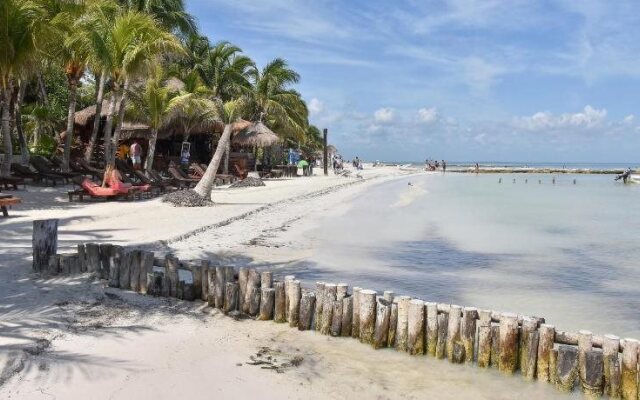 Moon Dreams Yum Balam