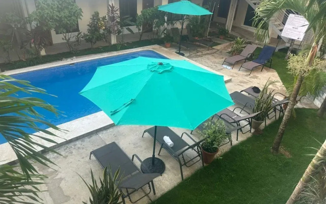 Wide Mouth Frog At Quepos