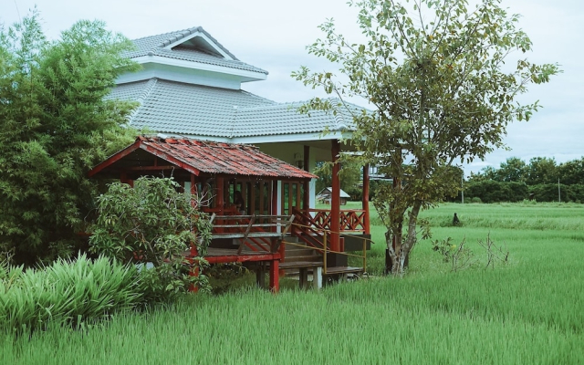 Rabeing view Doona  Chiang Mai