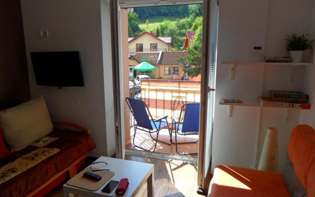 Apartament Kraszewskiego