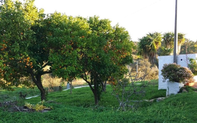 Monte do Altinho