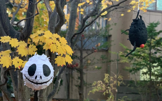 HDO Sumikawa House 7LDK max21ppl 4xParking