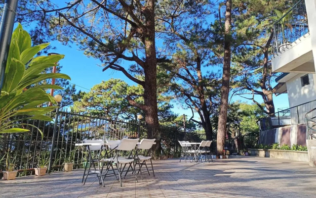 Vista de Pino