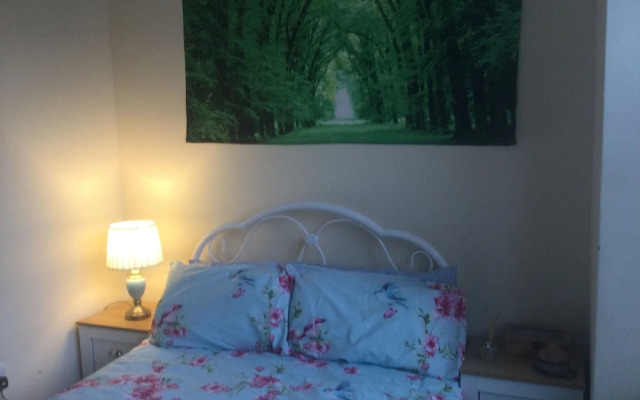 TDM Bachelot Lettings Ltd