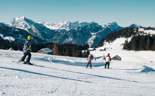Chalet Engihalde