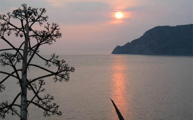 The Terrace in the Heart of Vernazza