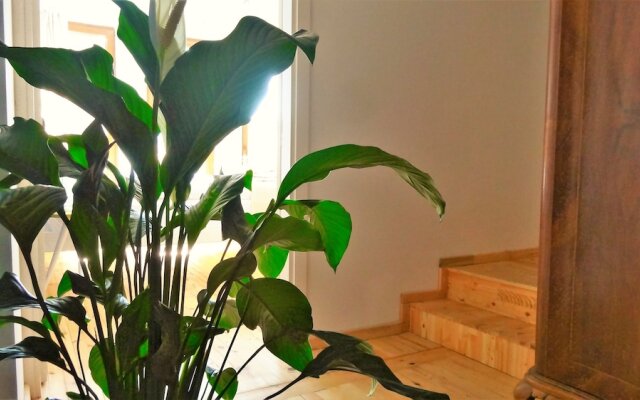 Istanbul Apartments2®