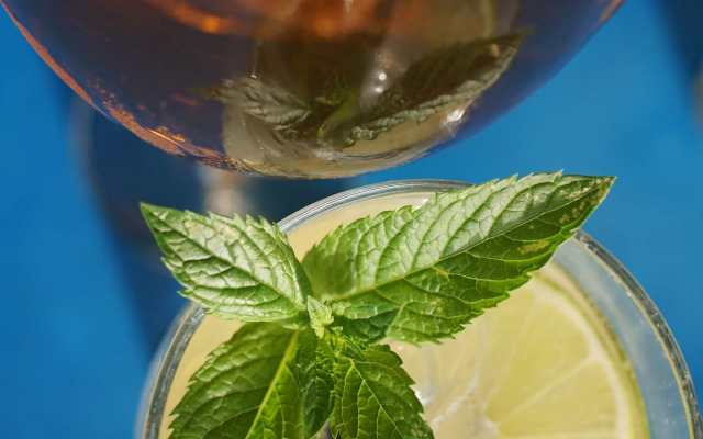 Pension-Gaststätte Paradies