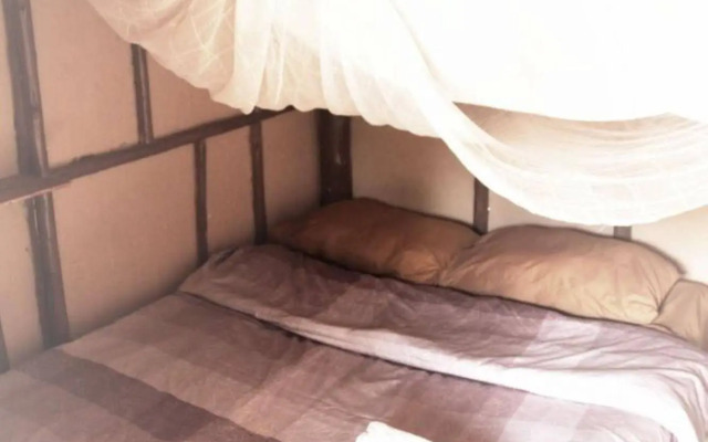 Purple Monkey Backpackers