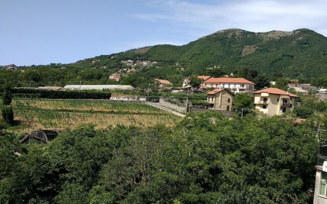 The Residence Grandfather Emilio