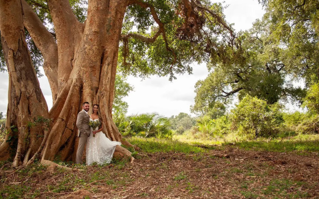 Karongwe Portfolio - Becks Safari Lodge