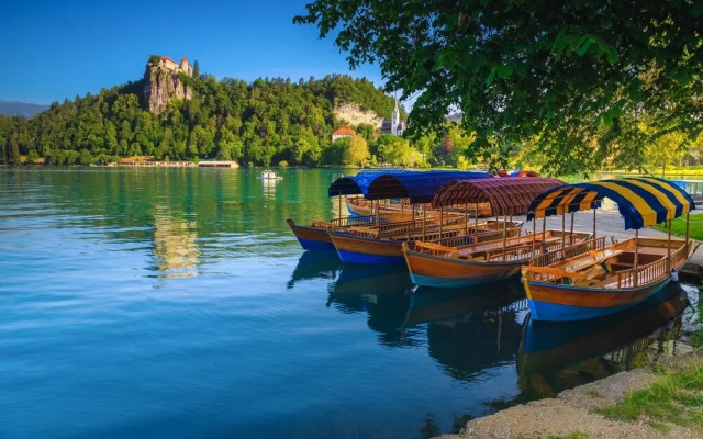 Bled Lake Apartment Red Rose