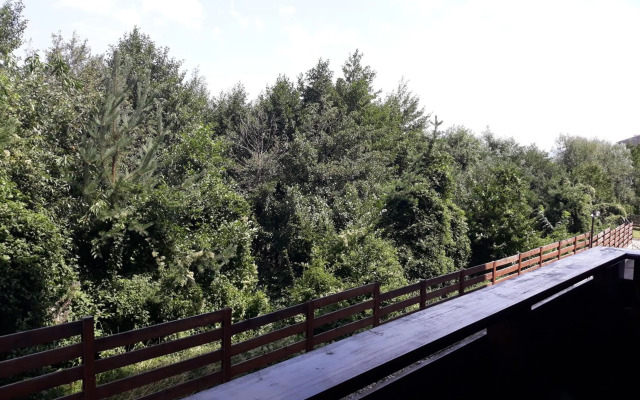 Apartment Detelina Residence