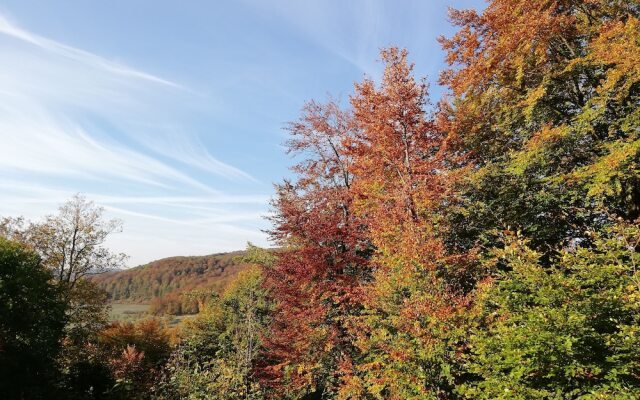 Landgasthaus zur Brücke