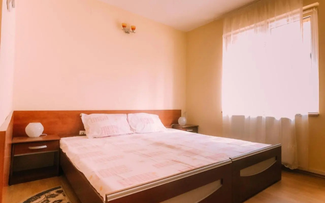 Spacious Apartment near Peles