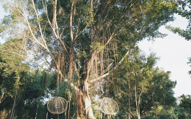 Kalu's Hideaway Udawalawe