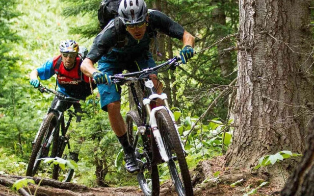 Nice Chalet With Garden, in the Antwerp Kempen