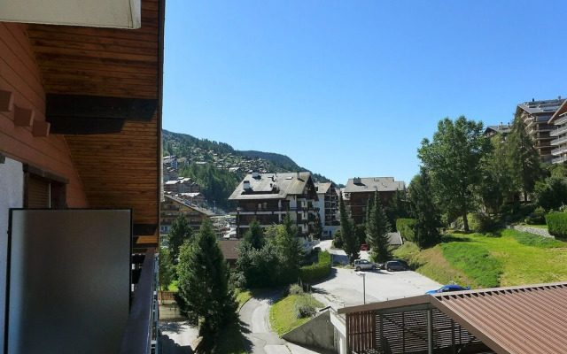 Bouleaux K4 Nendaz in Nendaz