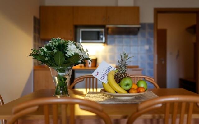 Apartmany Engadin